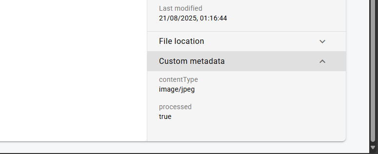 Custom metadata added
